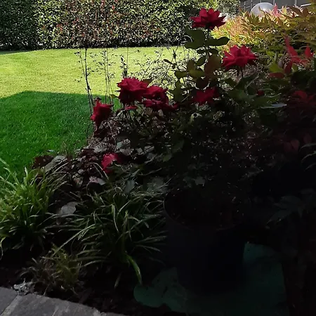 Διαμέρισμα Casa La Fontana Pedavena